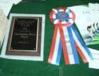 outstandingboothaward_small.jpg